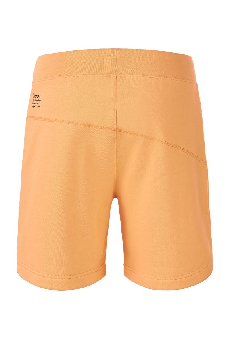 Picture Organic Augusto Men's Shorts Orange | XNR-623897