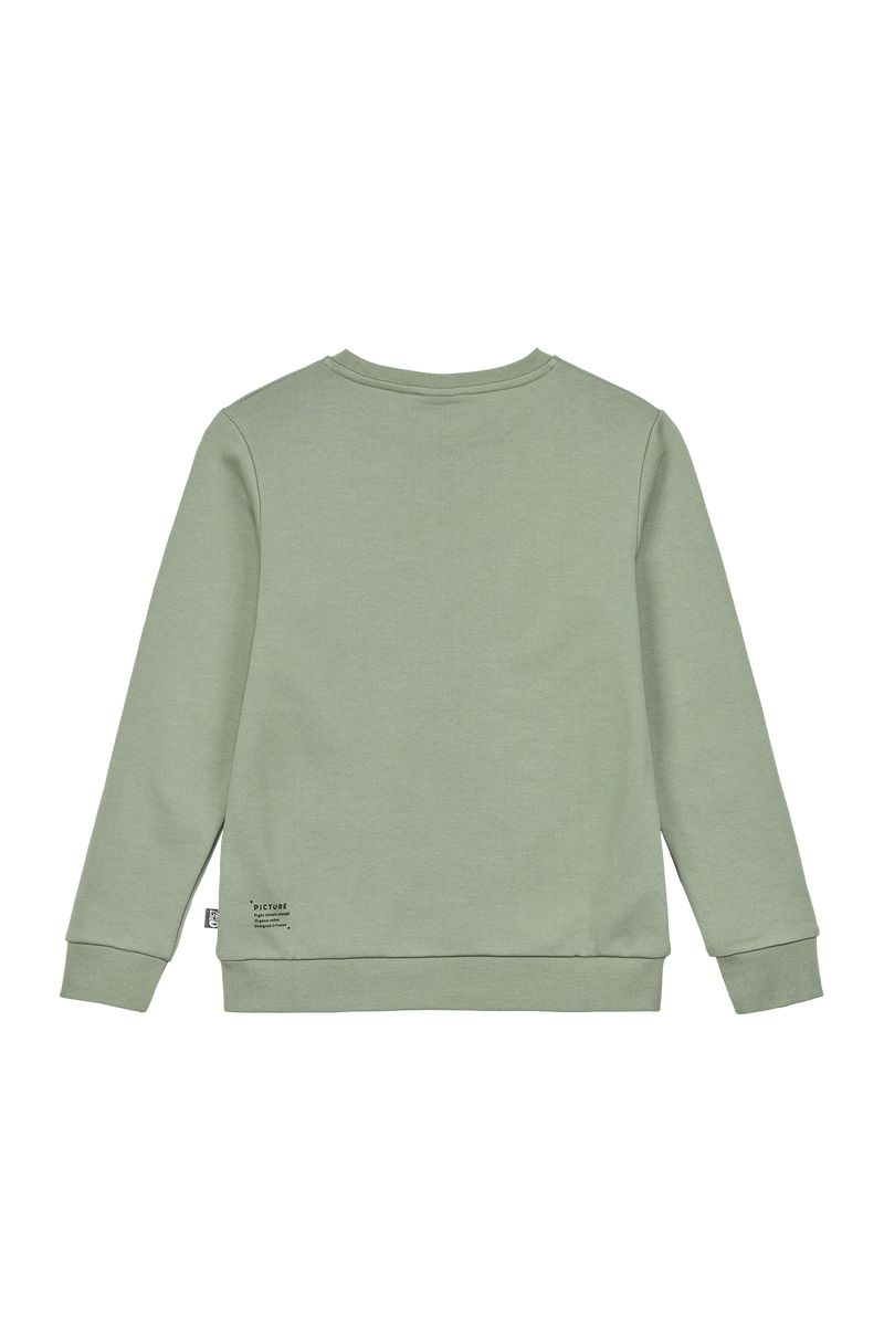 Picture Organic Authentic Crew Kids' Sweaters Green | AQM-728391