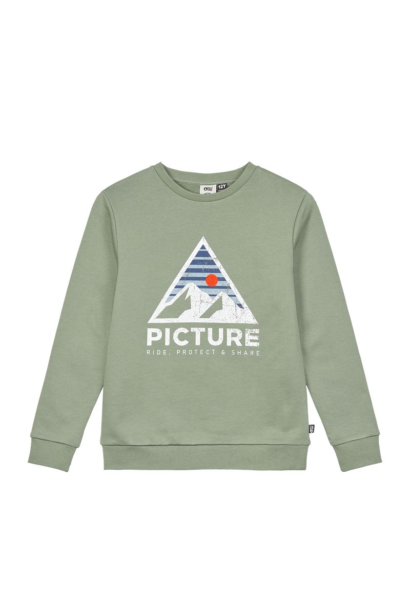 Picture Organic Authentic Crew Kids\' Sweaters Green | AQM-728391