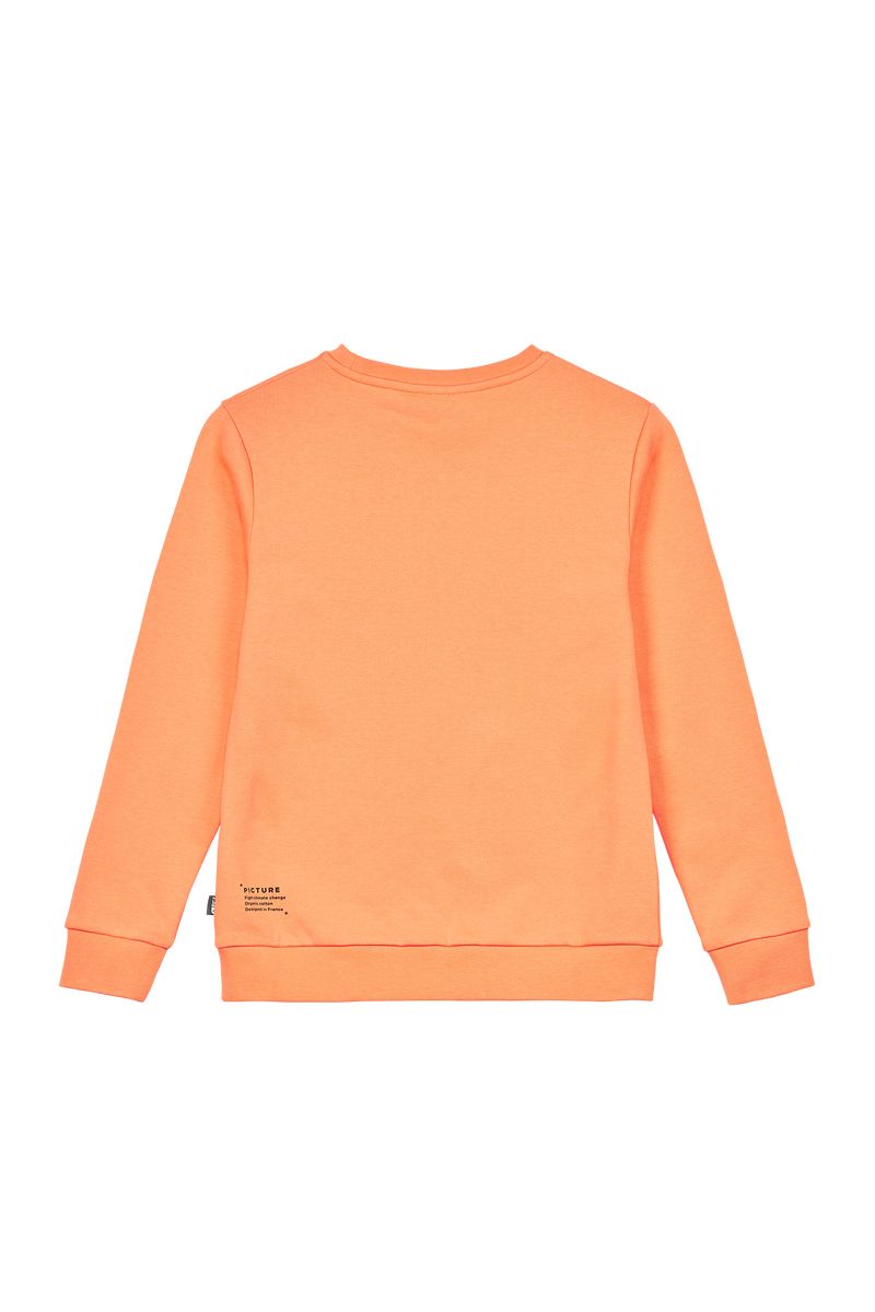 Picture Organic Authentic Crew Kids' Sweaters Orange | BGU-843596