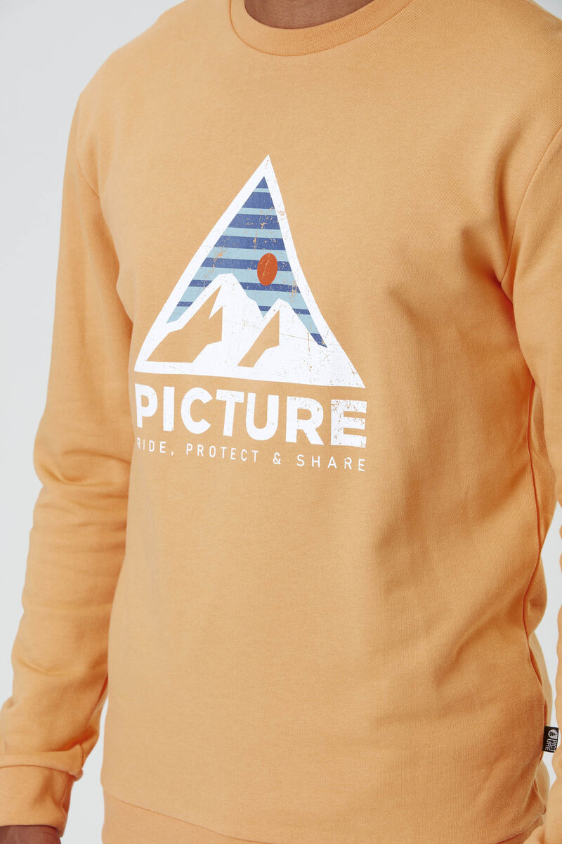 Picture Organic Authentic Crew Men's Sweaters Orange | OAH-157632