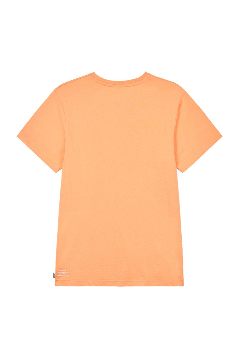 Picture Organic Basement Guinea Men's T Shirts Orange | NOT-176820