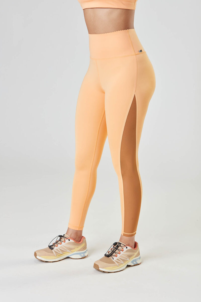 Picture Organic Cintra Tech Women's Leggings Coral | CNE-213574