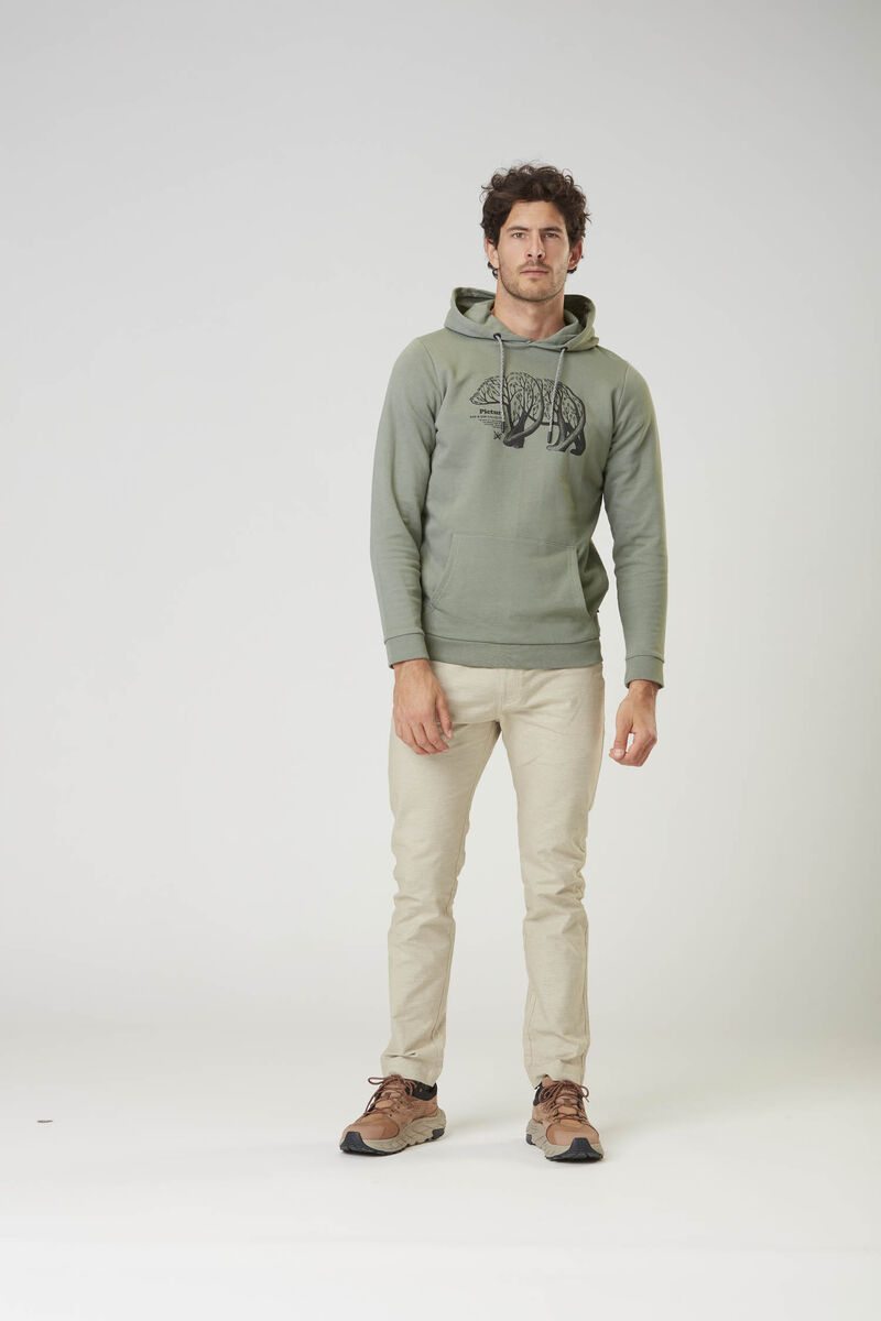 Picture Organic D&s Bear Branch Men's Hoodie Green | QCA-319264