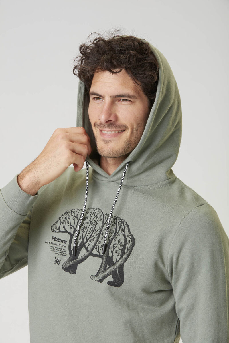 Picture Organic D&s Bear Branch Men's Hoodie Green | QCA-319264