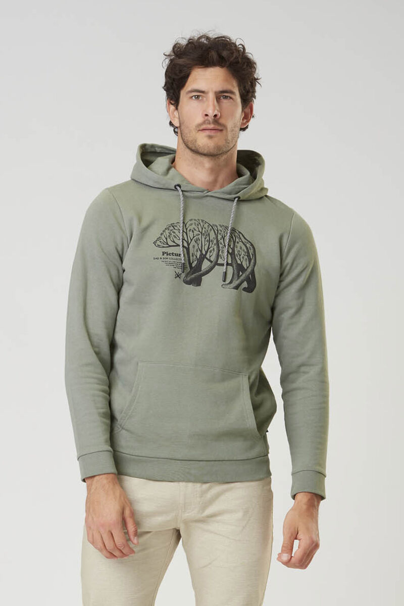 Picture Organic D&s Bear Branch Men\'s Hoodie Green | QCA-319264