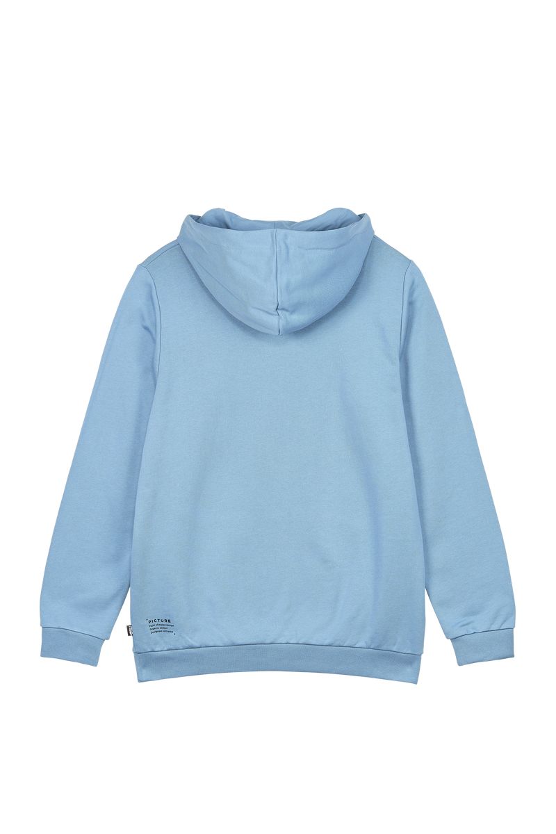 Picture Organic D&s Whally Men's Hoodie Blue | QDA-576930