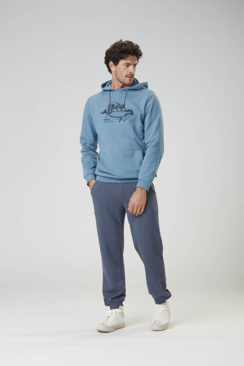 Picture Organic D&s Whally Men's Hoodie Blue | QDA-576930