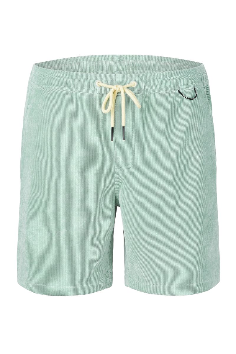 Picture Organic Dalvik Men's Shorts Blue | JUB-069458