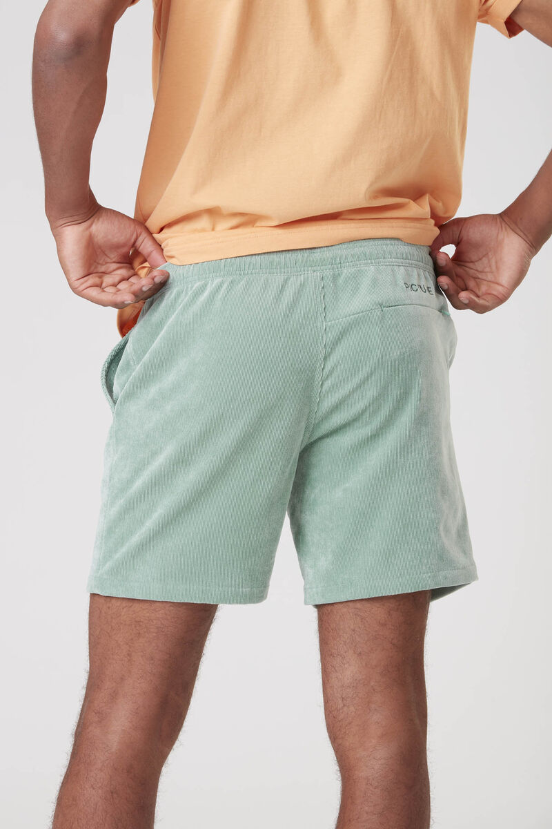 Picture Organic Dalvik Men's Shorts Blue | JUB-069458