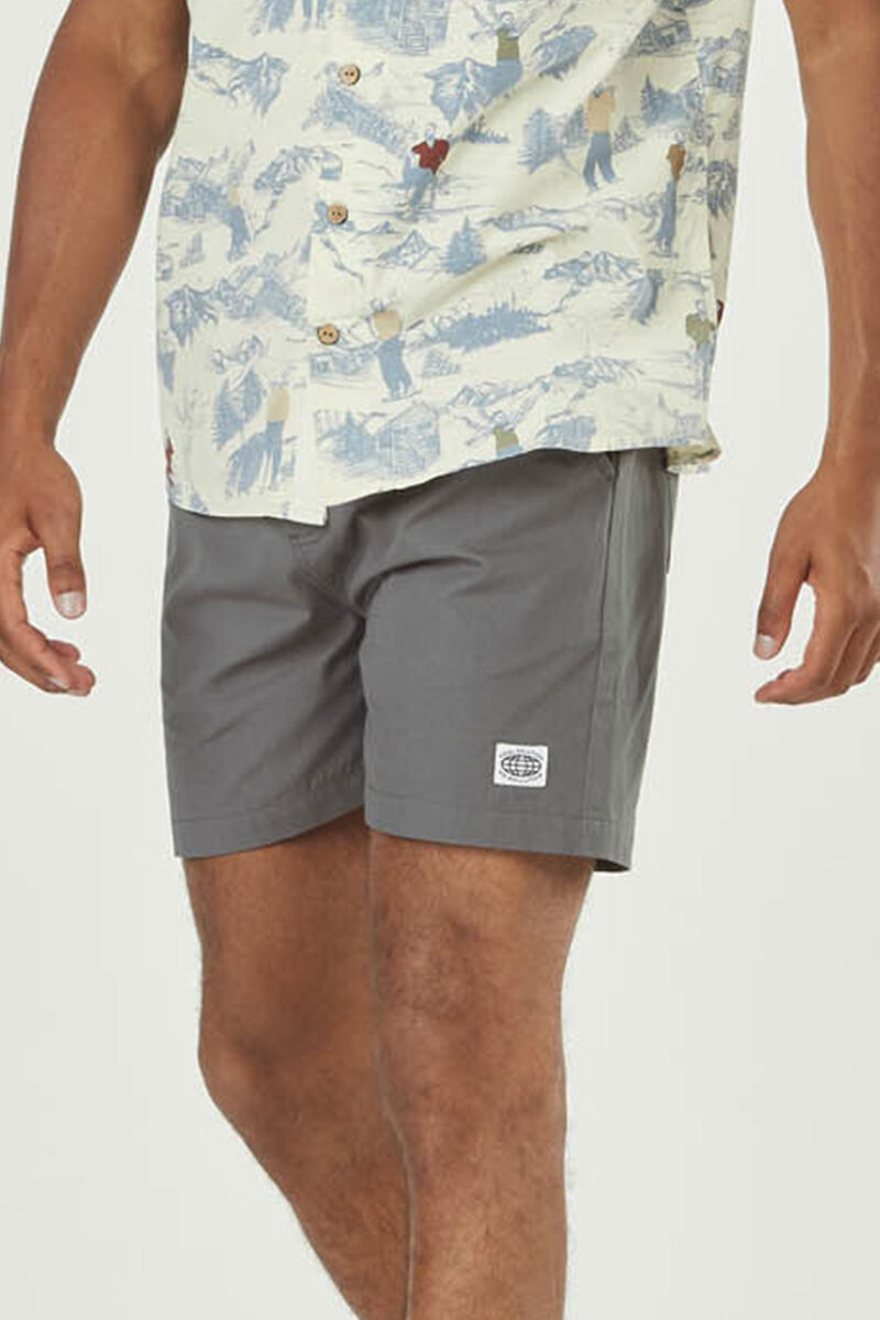 Picture Organic Daverson Men\'s Shorts Grey | UDI-301695