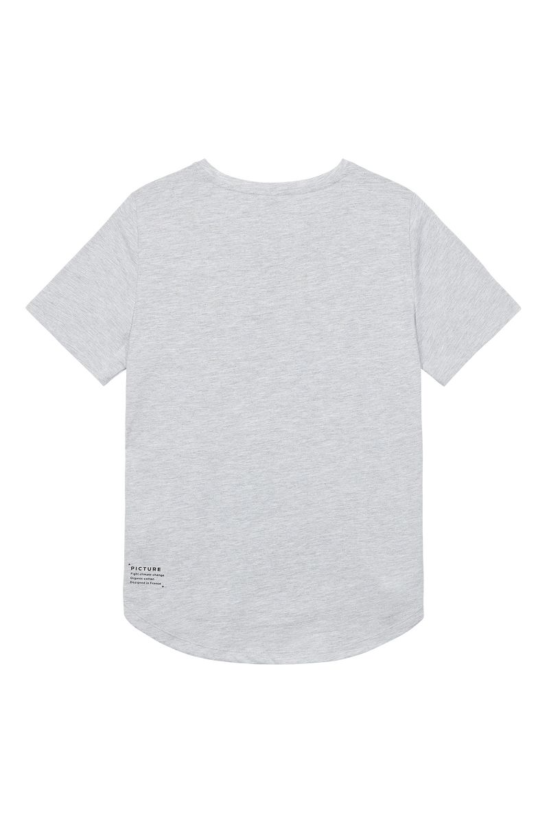 Picture Organic Fall Regular Women's T Shirts Grey | LXT-903124