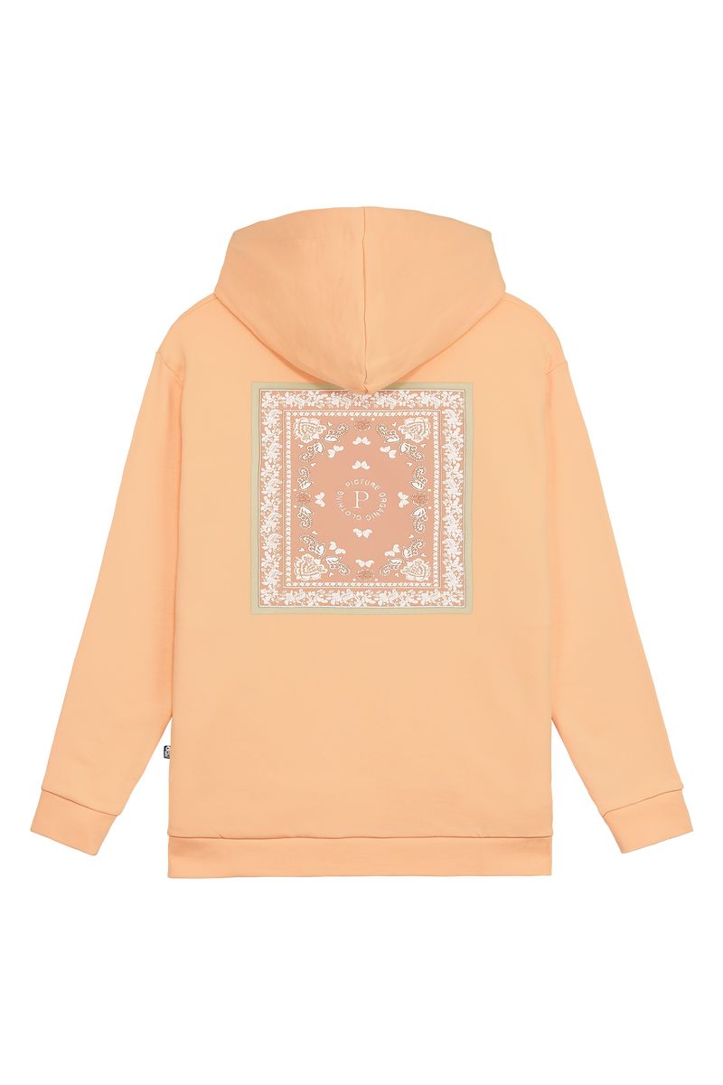 Picture Organic Janyka Long Sweat Women's Sweaters Coral | HSM-986372