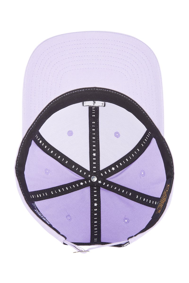 Picture Organic Kotka Bb Men's Caps Purple | IFK-751846