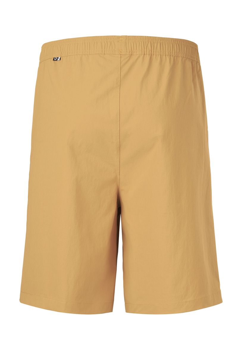 Picture Organic Lenu Strech Men's Shorts Brown | ZJA-273095