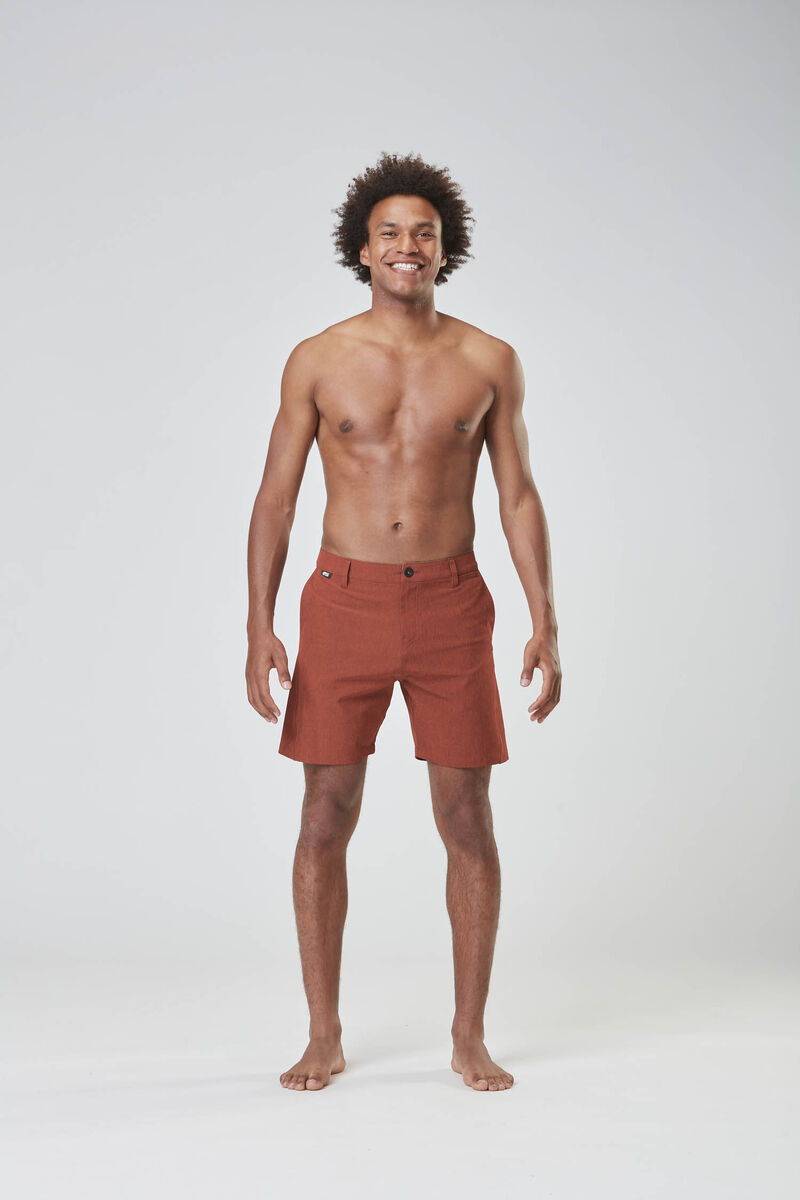 Picture Organic Podar Hybrid 19 Brds Men's Boardshorts Red Brown | GIU-570316