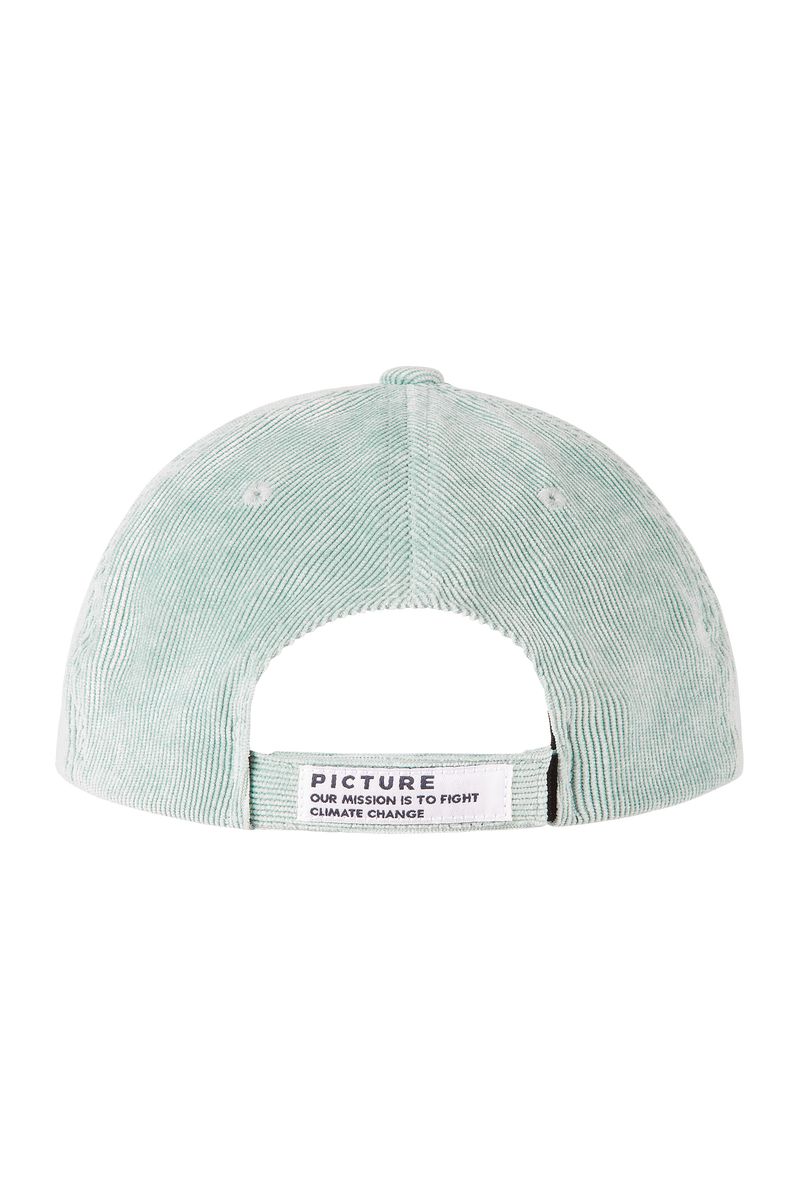 Picture Organic Qorda Men's Caps Blue | CRI-607219