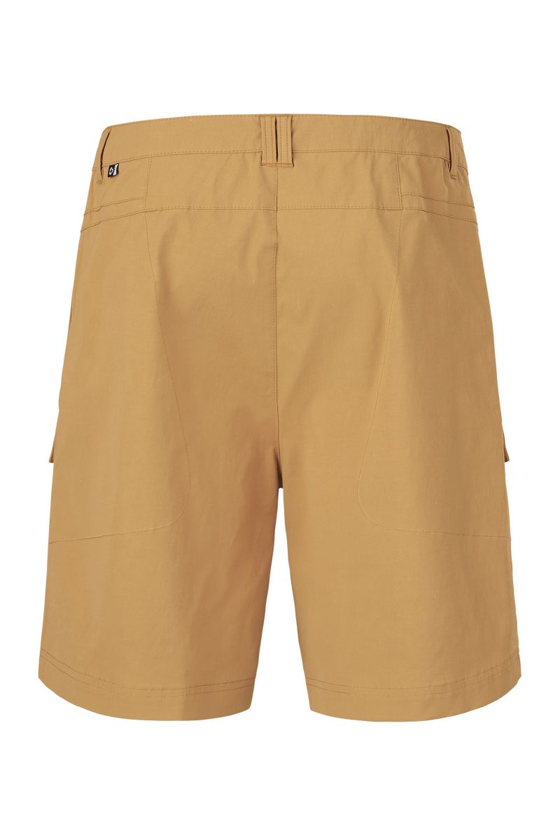 Picture Organic Robust Men's Shorts Brown | TSN-715294