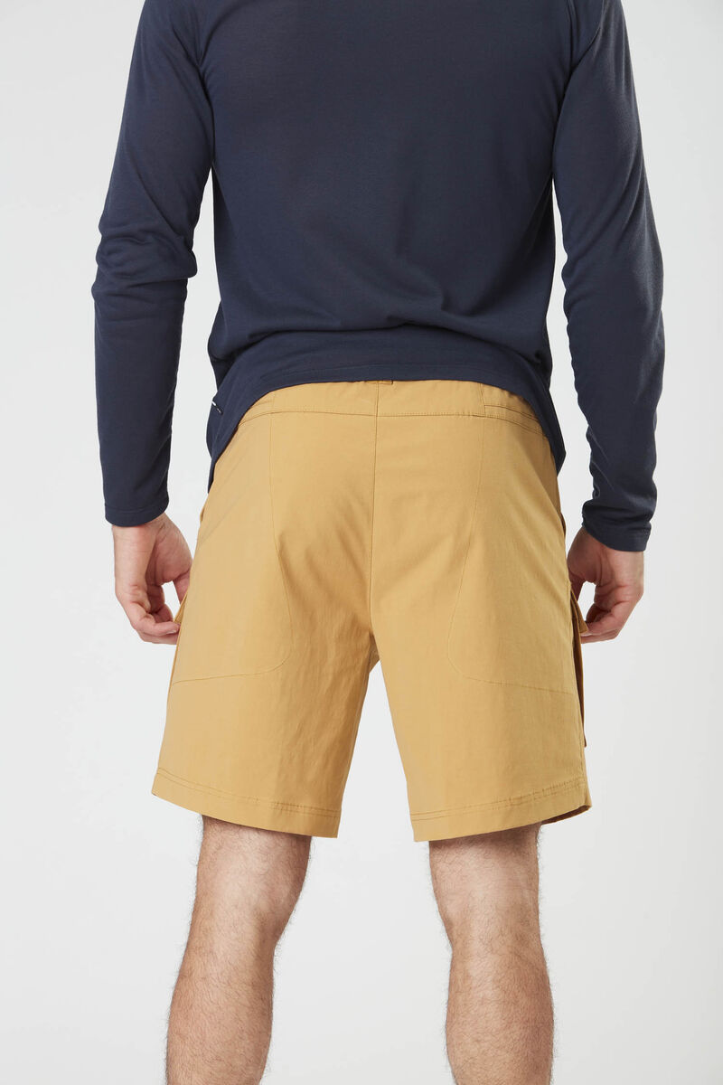 Picture Organic Robust Men's Shorts Brown | TSN-715294