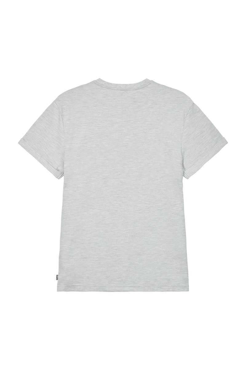 Picture Organic Sicla Men's T Shirts Grey | HCT-618534