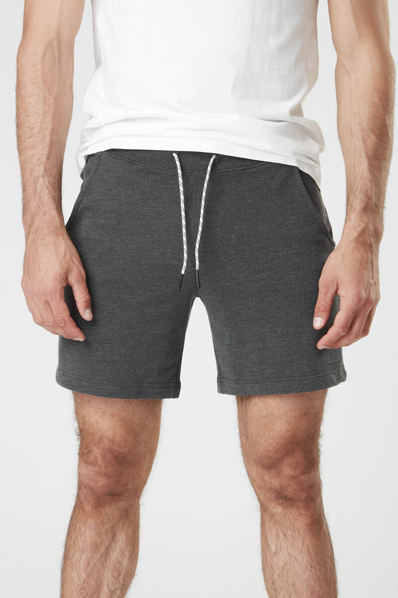 Picture Organic Augusto Men's Shorts Dark Grey | ISB-836925