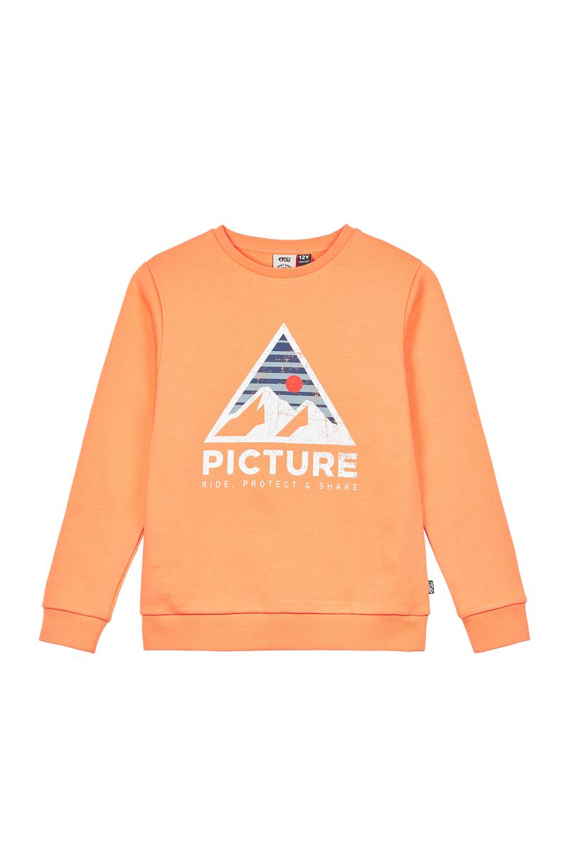 Picture Organic Authentic Crew Kids' Sweaters Orange | BGU-843596