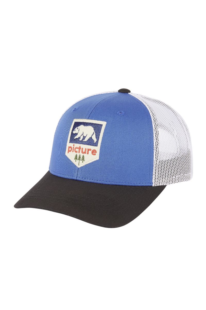 Picture Organic Tomal Men's Caps Blue | WZX-805641